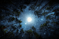 The Significance of Sleep Part 2: Early Scientific Discovery