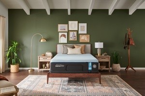 All about Where to purchase a Tempur-cloud Mattress in Jacksonville