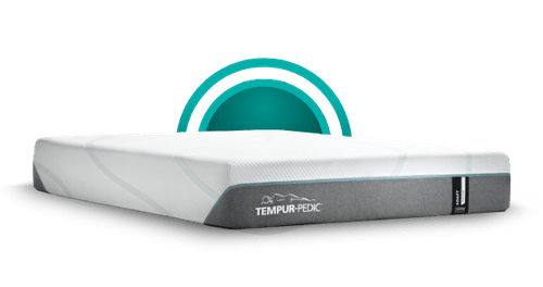 Previous Generation TEMPUR-Adapt® Closeout Collection
