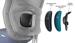 LumbarDiagramNavy
