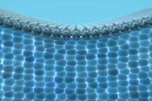 The Science Behind Tempur-Pedic Motion Isolation