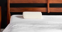 Universal Cushion on a bed