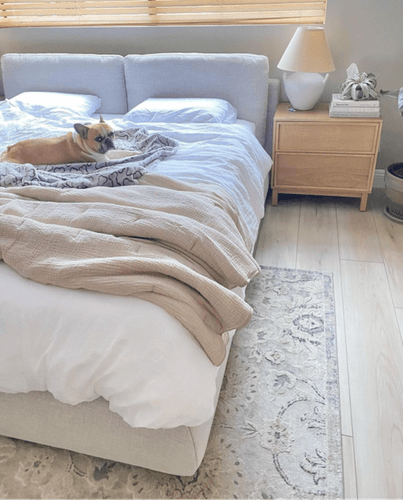 French bulldog asleep on king size Tempur-Pedic with white bedding