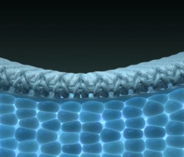 Close up rendering of cellular structures within TEMPUR-Material